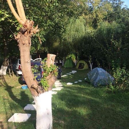 Camping In Clisura Dunarii Eselnita Luaran gambar