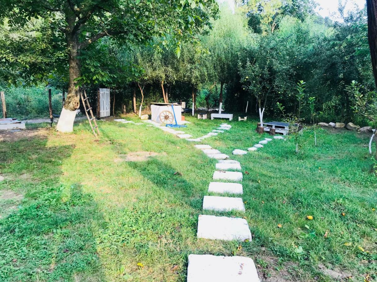 Camping In Clisura Dunarii Eselnita Luaran gambar