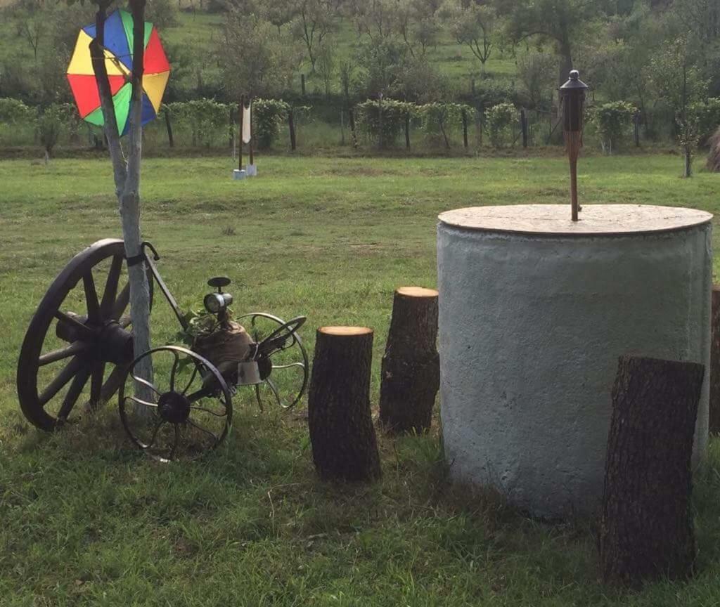 Camping In Clisura Dunarii Eselnita Luaran gambar