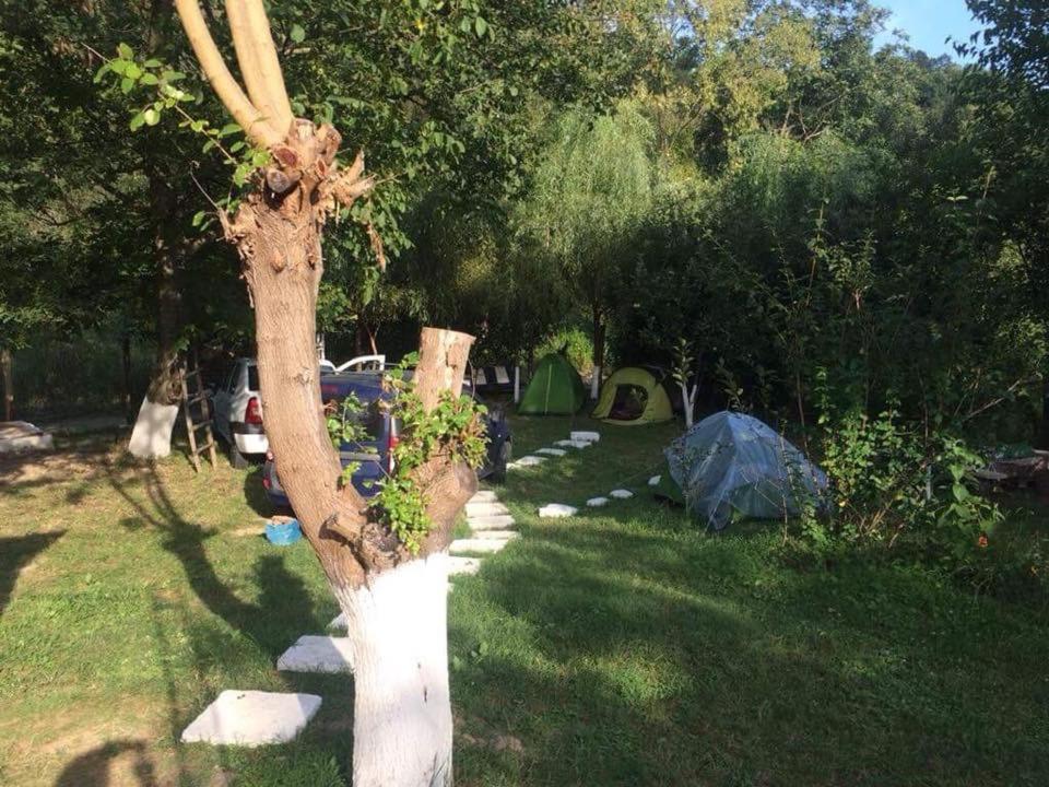 Camping In Clisura Dunarii Eselnita Luaran gambar