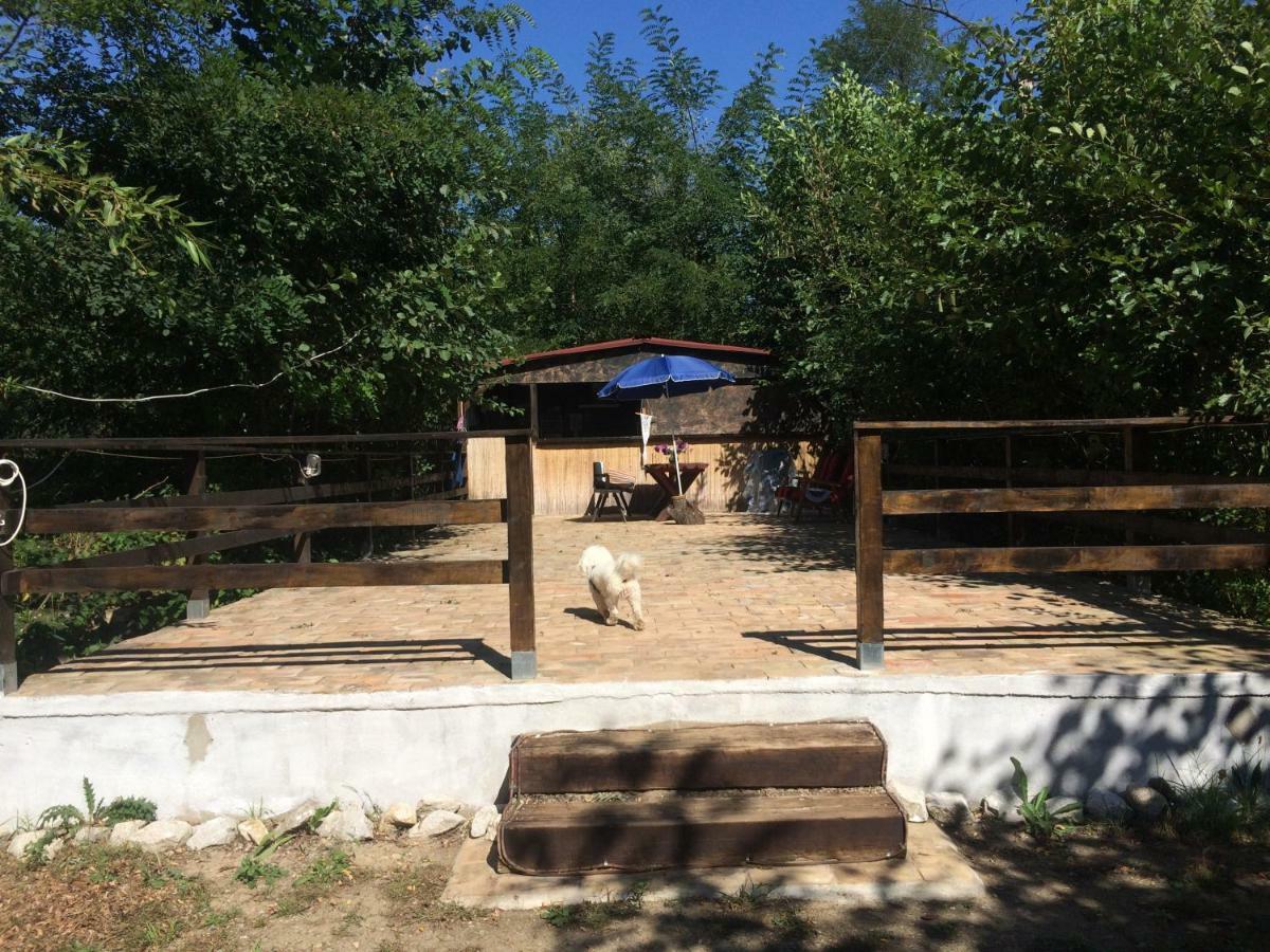 Camping In Clisura Dunarii Eselnita Luaran gambar