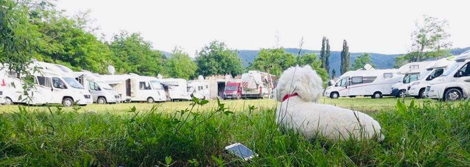 Camping In Clisura Dunarii Eselnita Luaran gambar